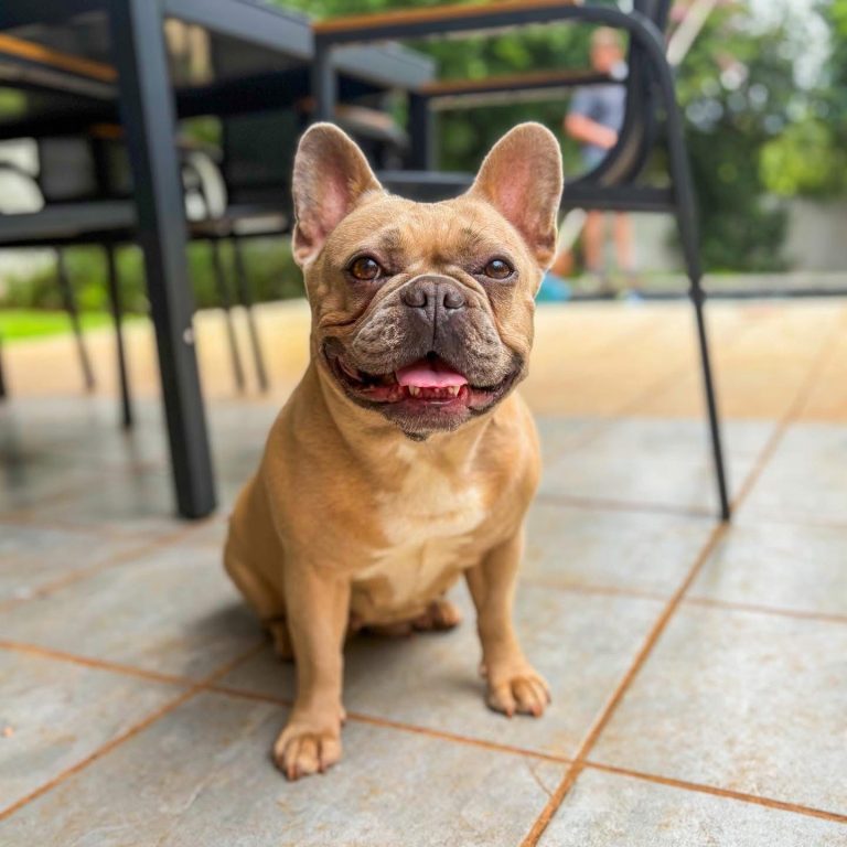 Millie